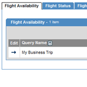 Flight Inquiries Interface